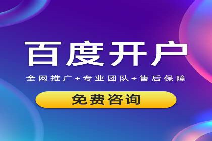 某某sem推广公司实战案例：精准投放提升转化率